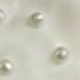 trắng