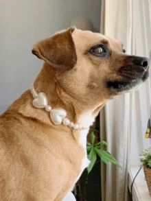 Handmade Pearl Heart Pet Necklace, Heart Necklace, Heart Pet Necklace, Handmade Faux Pearl Pet Cute Necklace, Suitable For Small And Medium Dogs, Suitable For Cats, Pet Birthday Gift, Pet Photography Prop, Pet Travel Outfit, Pet Accessories - White - View 5