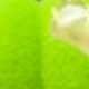 Green Doorknob Gloves