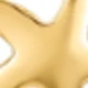 Dorado