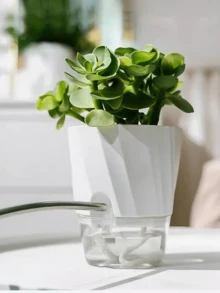 1 Chậu hoa nhựa hai lớp trong suốt, tự tưới nước, có dây cotton, chậu cây nhỏ có cổng bơm nước - Tự động hút nước - Xem 3