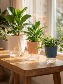 1 Chậu hoa nhựa hai lớp trong suốt, tự tưới nước, có dây cotton, chậu cây nhỏ có cổng bơm nước - Tự động hút nước - Xem 12