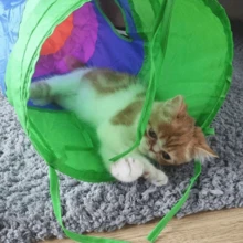 Multifunction Rainbow Foldable & Portable Pet Tunnel Toy, Durable Cat Toy For Active Cats And Small Dogs, Cat Tunnel For Hide And Seek Game To Consume Energy, Includes Hanging Toys For Interactive Pet Entertainment, Gift Set - Multicolor - View 5