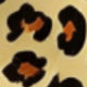 豹紋