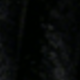 màu đen