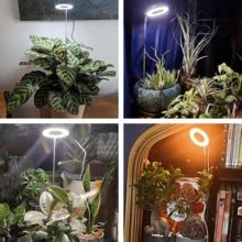USB-Pflanzenwachstumsleuchte – Höhenverstellbar mit Timer, kompaktes Design, geeignet für Zimmerpflanzen, Setzlinge und Sukkulenten sowie als Gartendekoration für Zuhause und das Büro. - Weiss - Übersicht 6
