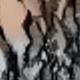 Ren đen