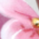 彩色