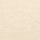 A01 Warm Skin Tone