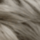 SGray