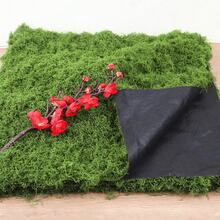 30/50/60/80/90/100/120/160/200/230/250g 人造苔蘚裝飾 - 逼真綠色植物 - 包裝 - 適用於微景觀、窗戶裝飾和設計佈局、仿生人造苔蘚、綠色苔蘚微景觀裝飾、DIY綠色植物 - 綠色苔蘚地毯 - 查看 5