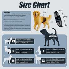 Male Dog Diapers, Pet Physiological Pants, Breathable Mesh Design, Convenient Hook And Loop Closure, Suitable For Golden Retriever, Spitz And Other Dogs - Black - View 4