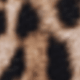 Leopard Print