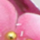 彩色