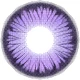 Butterfly Purple Spirit