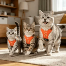 NIKOPET Cute Polka Dot Cat Vest Harness Set - Escape-Proof Breathable Mesh Vest, Soft Padded No-Pull Step-In Cat/Kitten Harness, Orange Geometric Pattern Outdoor Walking Gear - Orange - View 3
