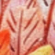 Maple Leaf Color