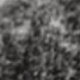 màu đen