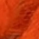 Burnt Orange