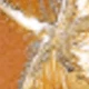 Amarillo Oro