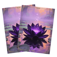 60PCS 66x91mm Standard Size Card Sleeves Board Game Cards Protector Card Shield Cover For PTCG/PKM/MGT WS Trading Cards - Multicolor - View 14