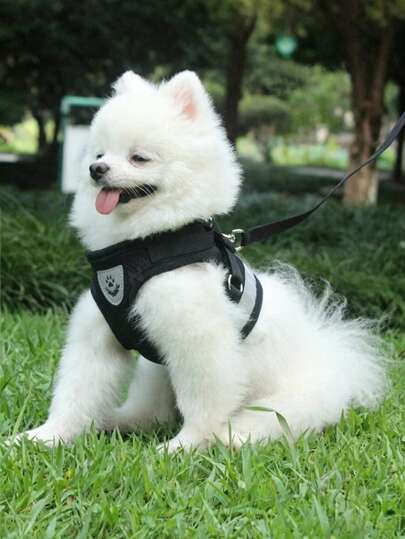 1pc/1set Breathable Mesh Dog Harness And Leash Set, Suitable For Both Cats & Dogs, Reflective No-Pull Pet Vest Harness, Lightweight & Fully Adjustable, Multi-Color Available. Ideal For Outdoor Walking & Night Safety, Perfect Holiday Gift For Small & Medium Pets.
