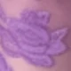 Morado Violeta