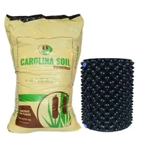 Substrato Pó De Coco Premium 2801 Carolina Soil 45l 8kg + Vaso Airpot 25,4l - A - Visão 1