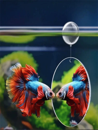 1pc Fish Training Float Ball, Double-Sided Mirror Fish Tank Decoration, Fish Tank Training Device For Boosting Courage, Non-Harmful Interactive Toy For Fish, Aquarium Ornament, Fish-Related Products, Aquarium Decoration