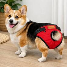 Pantalones fisiológicos reutilizables para perros, adecuados para uso en exteriores, previenen el montaje y el acoso, aptos para perros pequeños, medianos y grandes - Multicolor - Ver 6