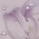 Purple and White Flowers