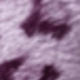 Purple (leopard Print)
