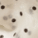 1PC