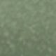 KN01 Verde