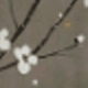 灰色