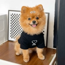 Bộ quần áo hình trái tim nhẹ, có thể mặc hai mặt dành cho chó và mèo, trang phục mùa xuân/thu thời trang cho chó Teddy, Pomeranian, Schnauzer và các thú cưng nhỏ khác. - trắng - Xem 1