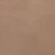 Light Mocha Brown