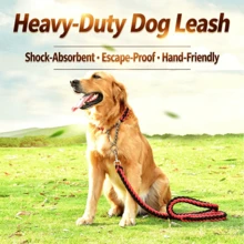 Dây xích chó lớn bằng nylon dài 1,2m với khóa kim loại, phù hợp cho chó Golden Retriever và các giống chó lớn khác. - Nhiều màu - Xem 2