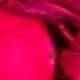 Đỏ