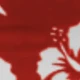 彩色