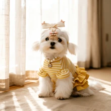 1 pieza Vestido de perro con volantes a rayas, estilo princesa para perros pequeños - Amarillo - Ver 2
