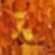 trái cam