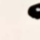 彩色