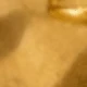 Dorado