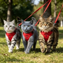 卡通刺绣猫咪背带套装 - 防逃脱轻便背心，四点调节，柔软透气网布，毛绒玩具和手感舒适的牵引绳，适合小型/中型猫咪；多功能宠物袋可装垃圾袋/零食/装饰品，也可放入宠物身份标签/GPS追踪器/联系信息卡，防止宠物走失。 - 紅色 - 查看 4