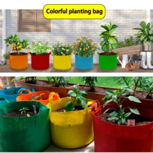 5 Gallon Felt Planting Bags, Durable Tomato Vegetable Garden Containers, Reusable Planting Bags With Sturdy Handles, Enhanced Load-Bearing Capacity For Outdoor Gardening, Home Balcony, Vegetable Garden Decor, Street, Multiple Colors Available - Multicolor - View 11