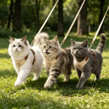 卡通刺绣猫咪背带套装 - 防逃脱轻便背心，四点调节，柔软透气网布，毛绒玩具和手感舒适的牵引绳，适合小型/中型猫咪；多功能宠物袋可装垃圾袋/零食/装饰品，也可放入宠物身份标签/GPS追踪器/联系信息卡，防止宠物走失。 - 米色 - 查看 6