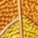 Cuello