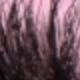 màu đen