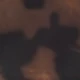 彩色